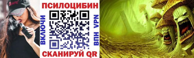 Псилоцибиновые грибы ЛСД  hydra маркетплейс  это как зайти  Заинск 